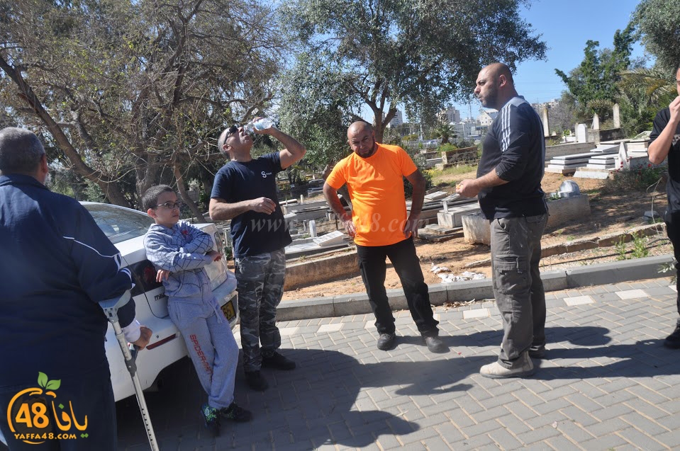 tasohamlalanjna (51).jpg